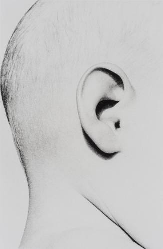 Untitled, 1985