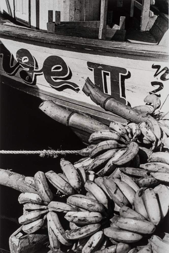 Untitled (Brazil), 2005