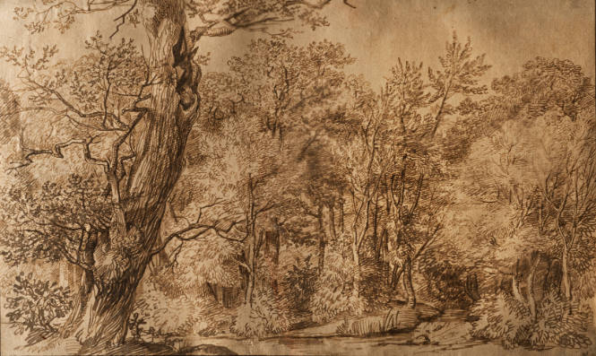 Densely Wooded Landscape with a Pond