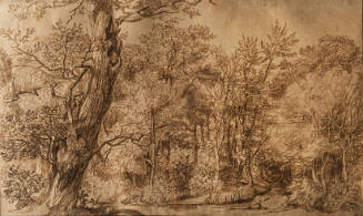 Densely Wooded Landscape with a Pond