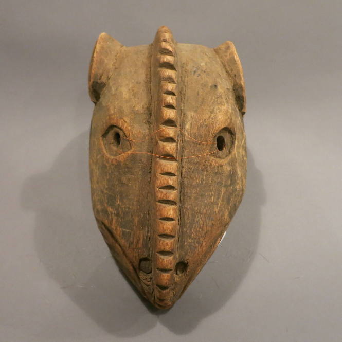 Armadillo dancing mask