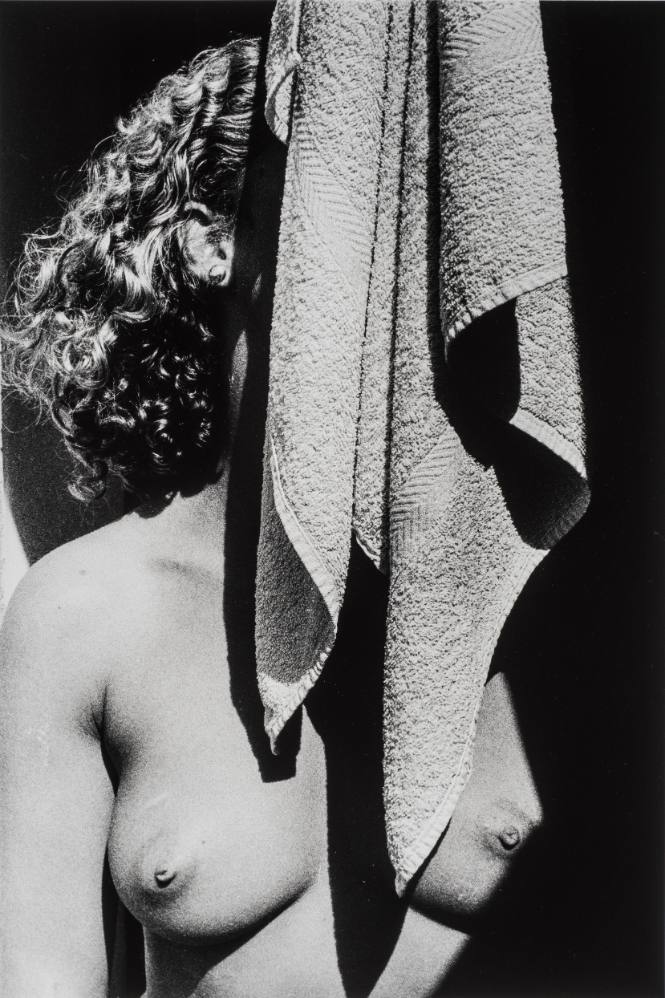Untitled, 1983
