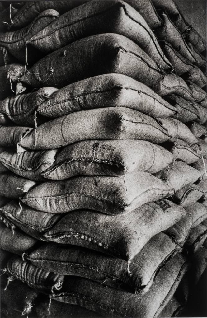 Untitled (Brazil), 2005