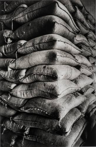 Untitled (Brazil), 2005