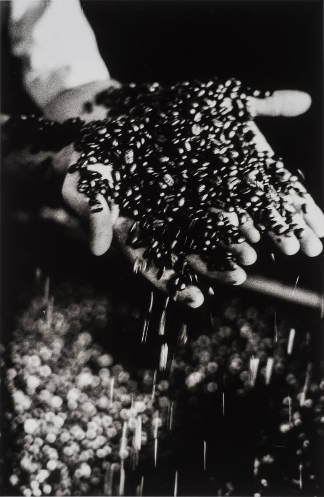 Untitled (Brazil), 2005