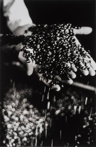 Untitled (Brazil), 2005