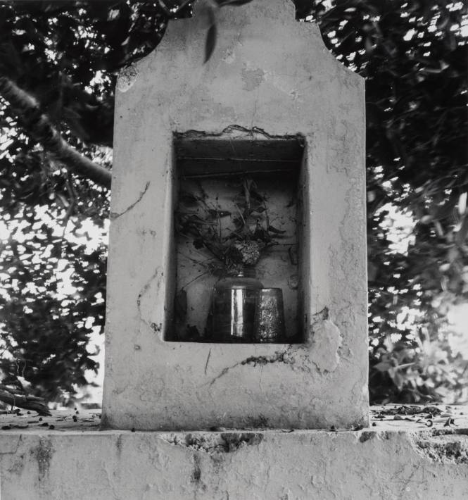 Remembering Joseph Cornell in Merida 46