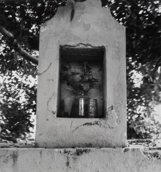 Remembering Joseph Cornell in Merida 46