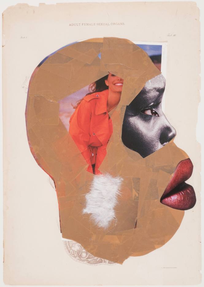 Wangechi Mutu