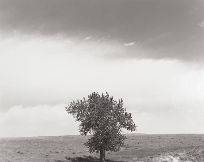 Pawnee National Grassland, Colorado