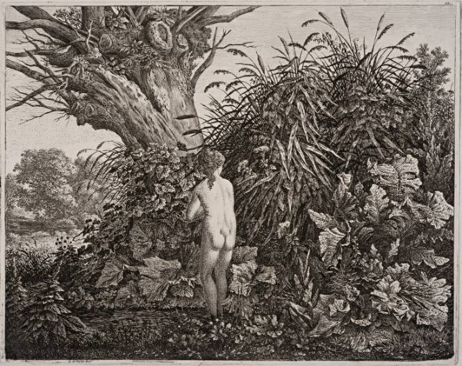 Girl Bathing, Standing in a Pool, in Front of a Tall Dead Willow Tree and Tall Reeds