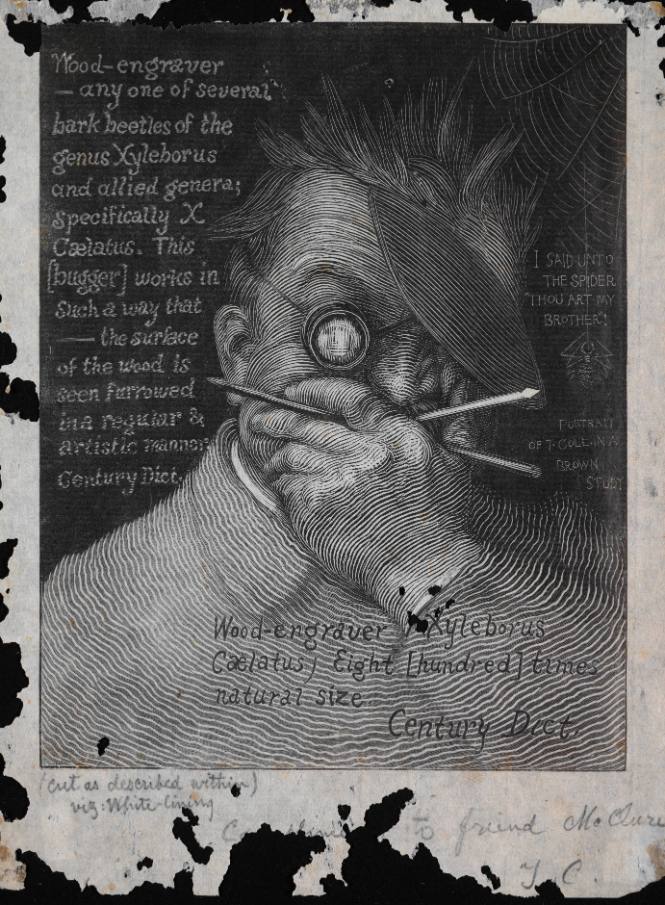 Timothy Cole