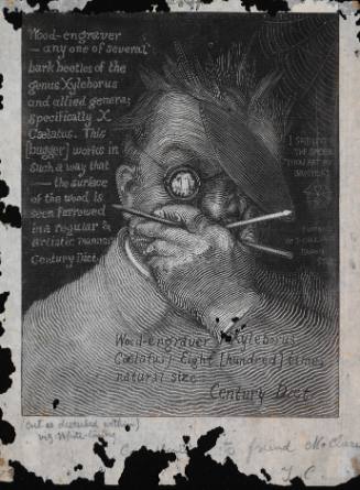 Self-Portrait (Portrait of Timothy Cole in a Brown Study)