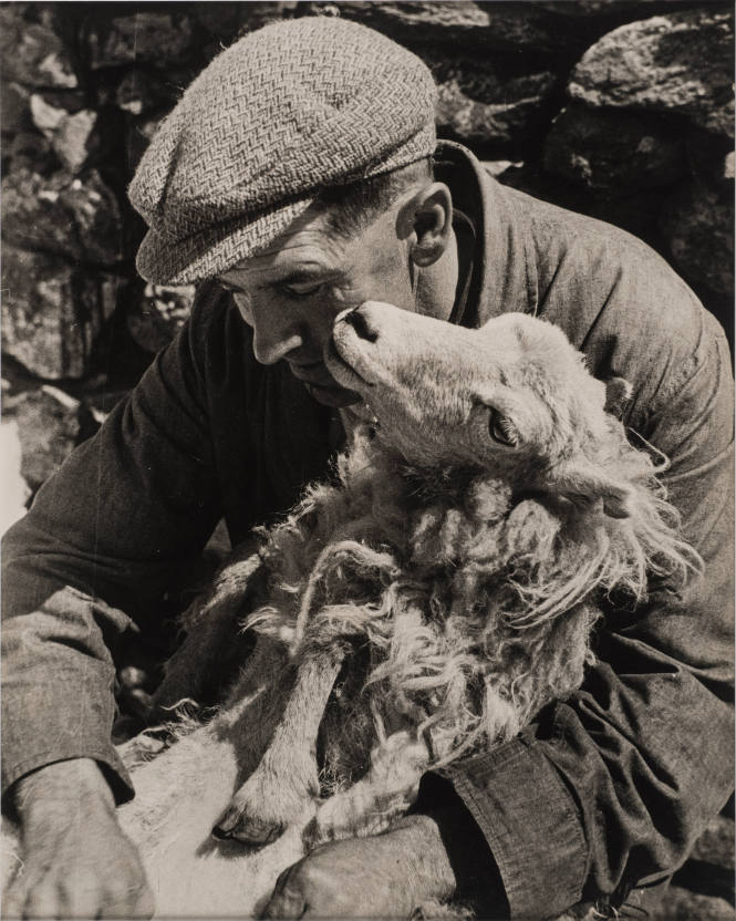 Trust, Sheep Shearing, Wales