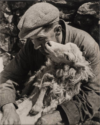Trust, Sheep Shearing, Wales