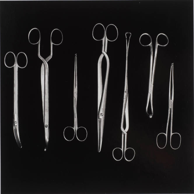 Surgical Scissors and Tenaculums, From 'Bones & Bell Jars: Photography of the Mutter Museum Collection'