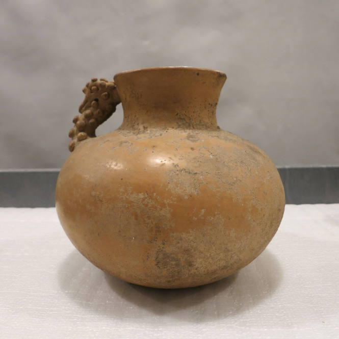 Vessel with Mexican turkey head (Meleagris gallopavo gallopavo)