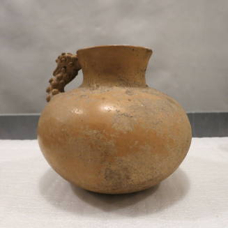 Vessel with Mexican turkey head (Meleagris gallopavo gallopavo)