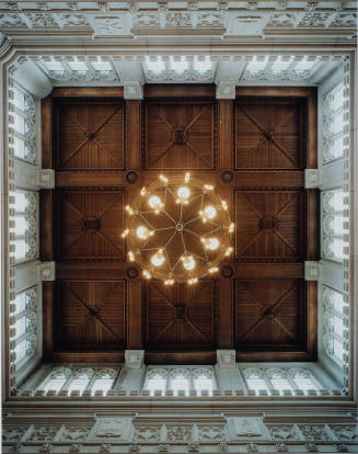 Centered View of Ceiling, Great Hall Ceiling, Vassar Library, from Vassar College Report of Gifts 2007-08 (front cover)
