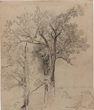 Trees