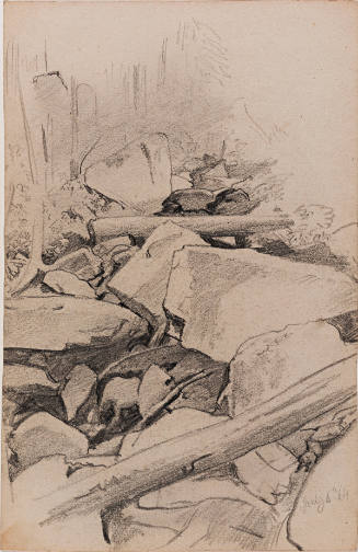Study: Tree Trunks and Rocks