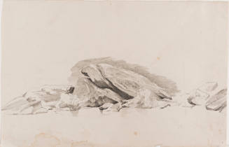 Rocks