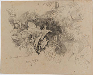 Plant Study