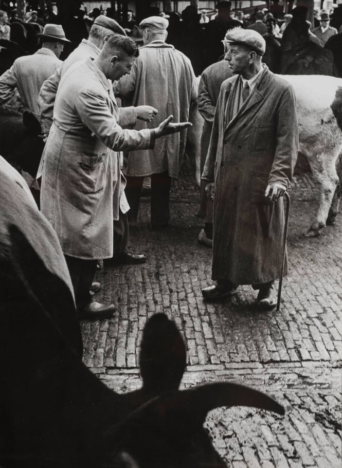 Slaughterhouse, Amsterdam, Holland