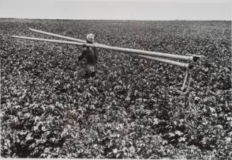 Man carrying two large metal tubes through field, Israel
