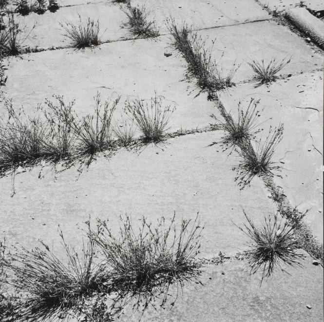 Through the Cracks