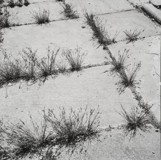 Through the Cracks