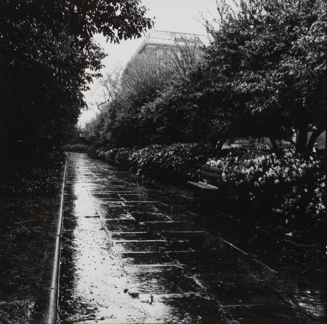 Rainy Day at Conservatory Gardens