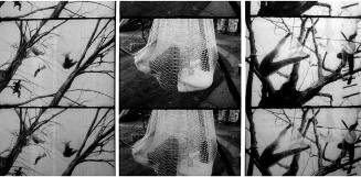 Documentation of two performances: Tree Dance; 1971,  9:32 min, black and white, silent, 16 mm film; Open House, 1972, 41 min, color, silent, Super 8 film
