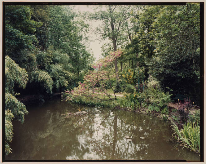 Untitled (from Giverny, France Series)