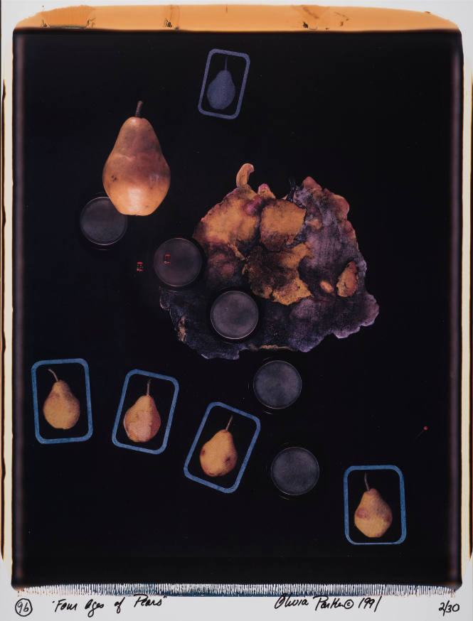 Four Ages of Pears
