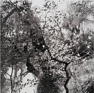Untitled, from Sojourn in the South of France