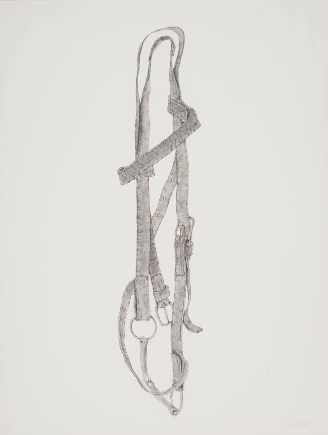 Bridle