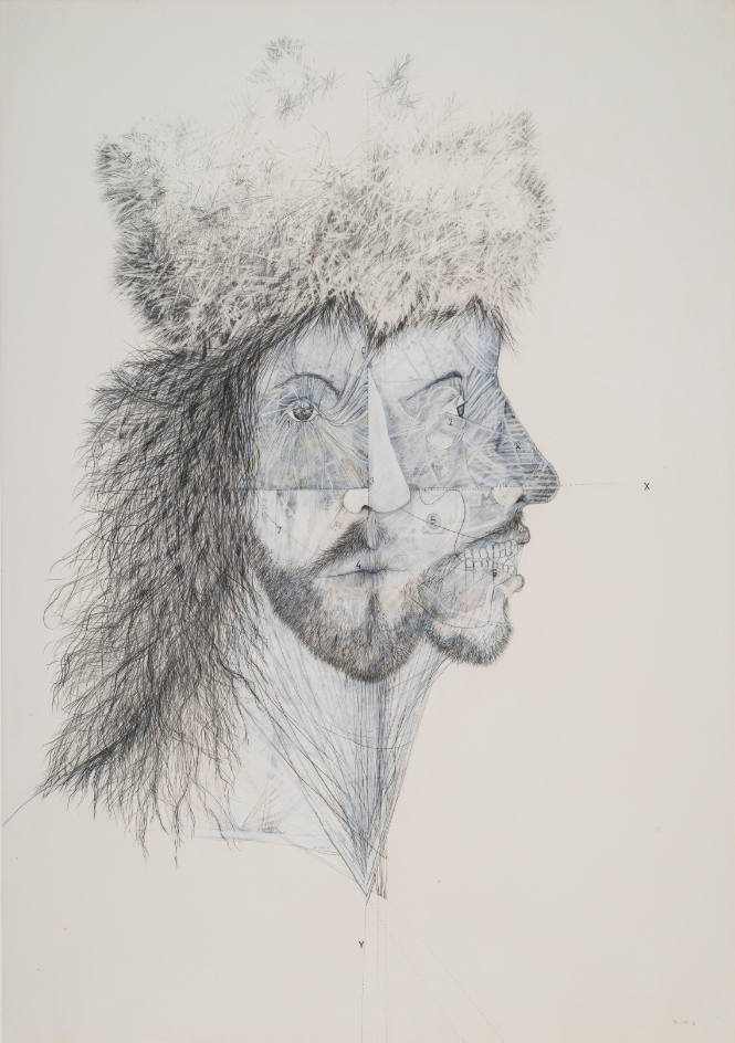 Untitled (from the series The Human Animal)