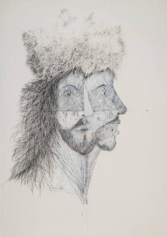 Untitled (from the series The Human Animal)