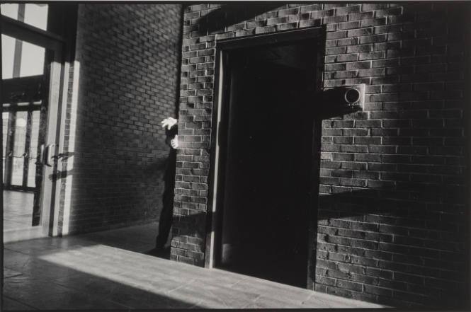 Andrè Kertèsz At Long Island University, Brooklyn, New York
