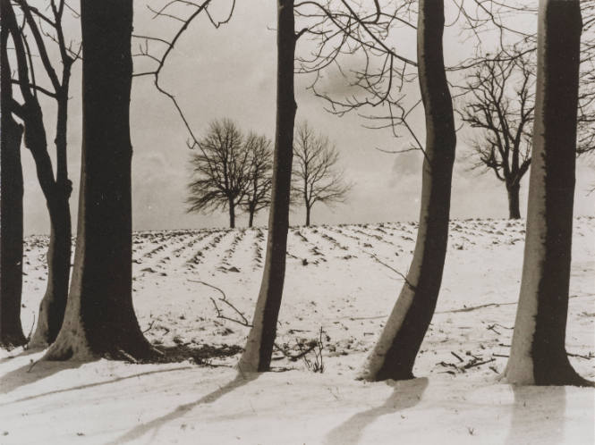 Winter landscape