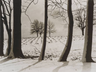 Winter landscape