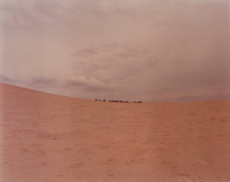Untitled [Provincetown]