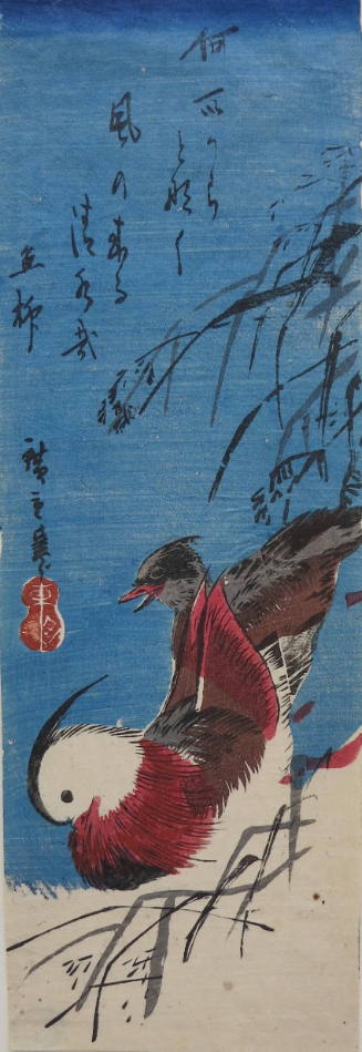 [Two Ducks]