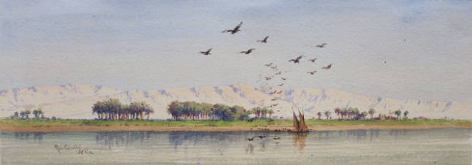 Nile