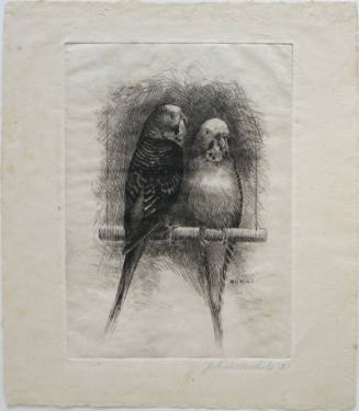 Two Birds