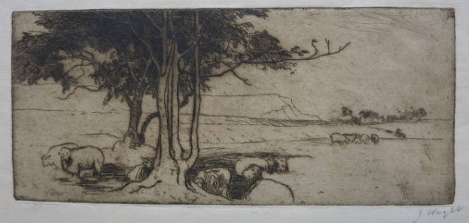 Untitled Landscape