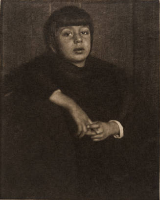 Portrait of the Artist's Son Hans