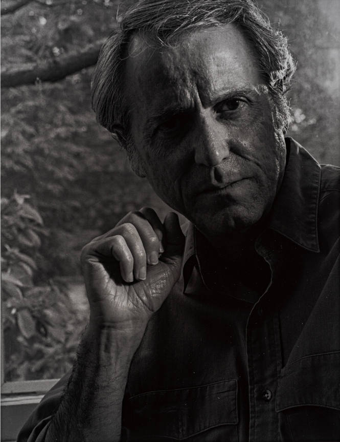Don Delillo