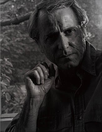 Don Delillo
